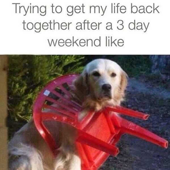 work memes, employment memes, Office Humor, Funny Work Content, Corporate Life, Work Shenanigans, Workplace Antics