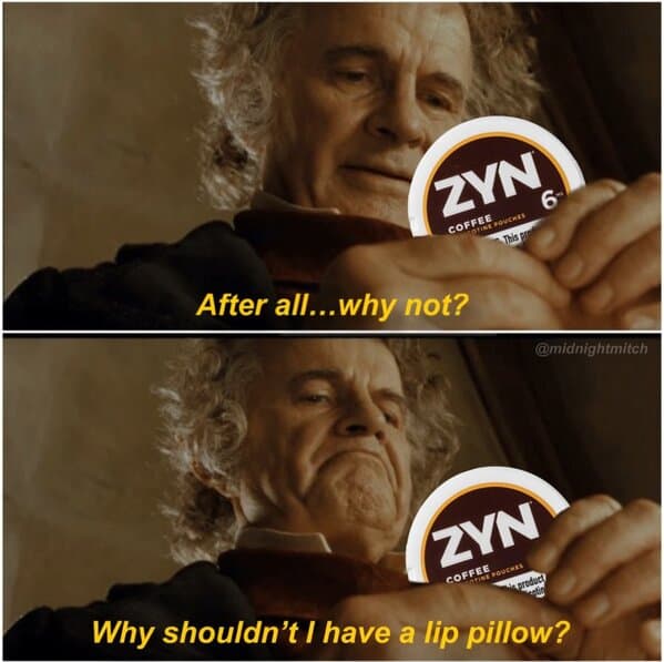 Zen memes. After all... why not? @midnightmitch LYN Why shouldn't I have a lip pillow?