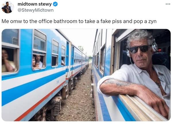 Zen memes. Me omw to the office bathroom to take a fake piss and pop a zyn