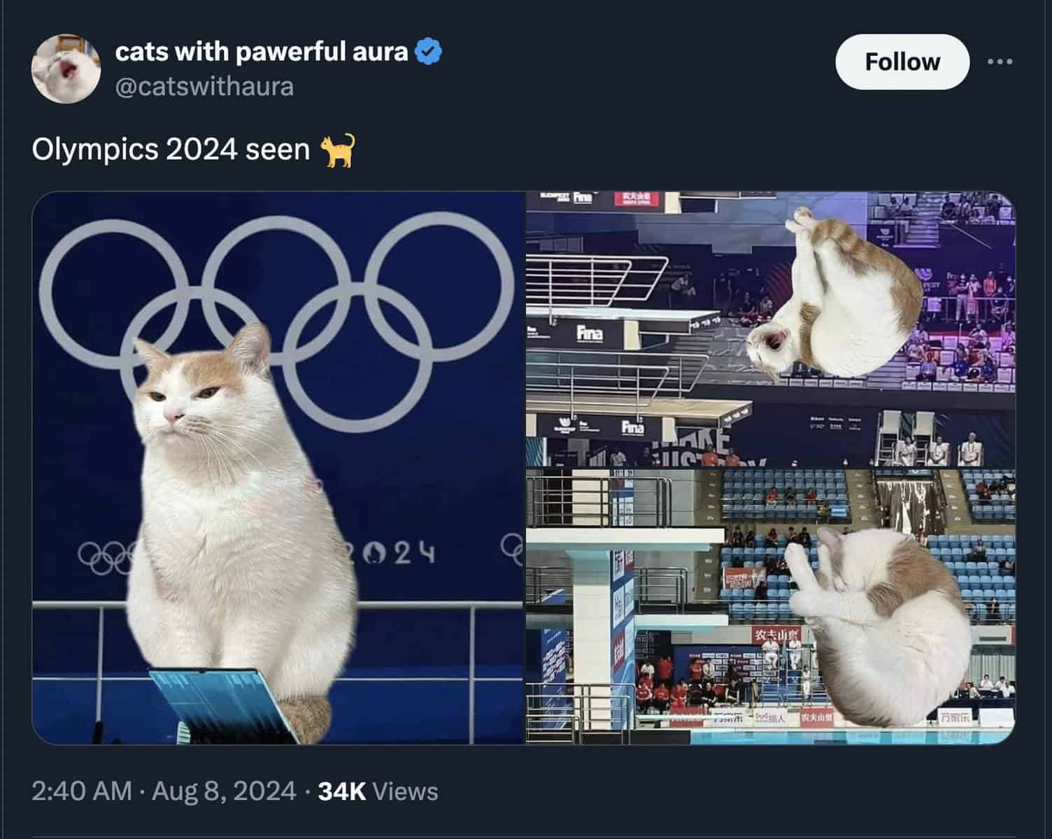 Paris Olympics memes, olympics memes, Olympics tweets, Funny Olympics memes, Summer Olympics humor