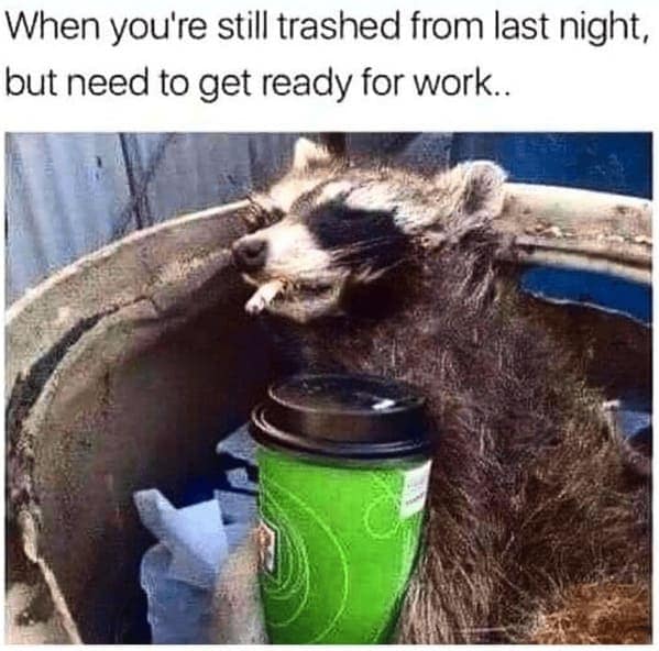 alcohol memes, hangover memes, alcohol memes, hangover memes, Drinking memes, Hangover humor