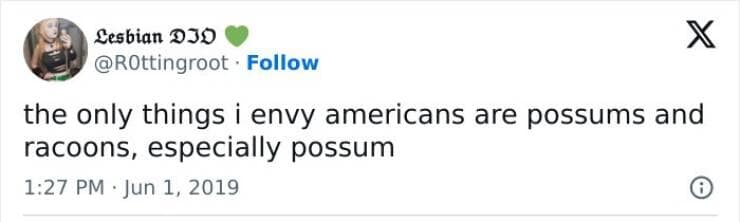 american memes, funny American culture, U.S. stereotypes, non-American views, American quirks