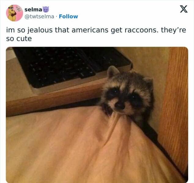 american memes, funny American culture, U.S. stereotypes, non-American views, American quirks