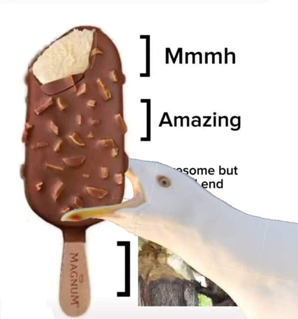 animal memes, pet memes, funny animal pictures, hilarious pet moments, animal jokes, pet humor, funny animal memes