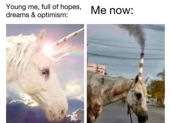 animal memes, pet memes, funny animal pictures, hilarious pet moments, animal jokes, pet humor, funny animal memes