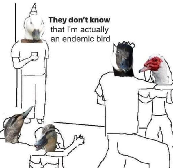 animal memes, pet memes, funny animal pictures, hilarious pet moments, animal jokes, pet humor, funny animal memes