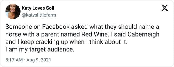 antisocial memes. Someone on Facebook asked what they should name a horse with a parent named Red Wine. I said Caberneigh and I keep cracking up when I think about it. I am my target audience.