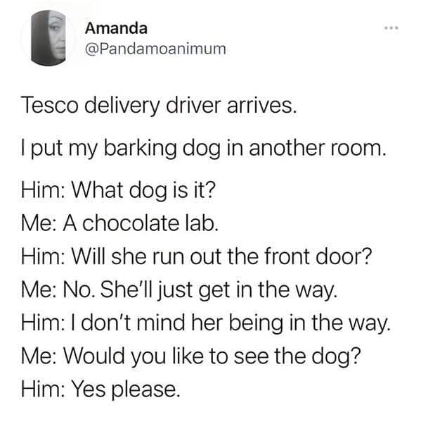 Tesco delivery driver arrives. I put my barking dog in another room. Him: What dog is it? Me: A chocolate lab. Him: Will she run out the front door? Me: No. She'll just get in the way. Him: I don't mind her being in the way. Me: Would you like to see the dog? Him: Yes please.