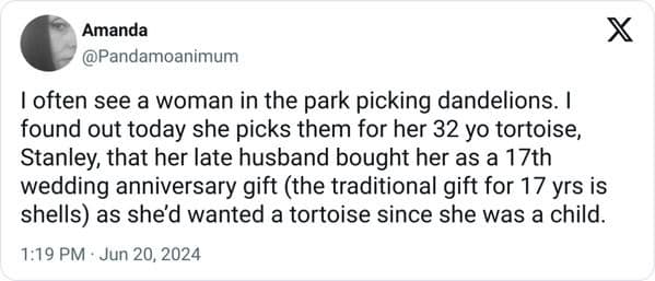 antisocial memes. I often see a woman in the park picking dandelions. I found out today she picks them for her 32 yo tortoise, Stanley, that her late husband bought her as a 17th wedding anniversary gift (the traditional gift for 17 yrs is shells) as shed wanted a tortoise since she was a child.