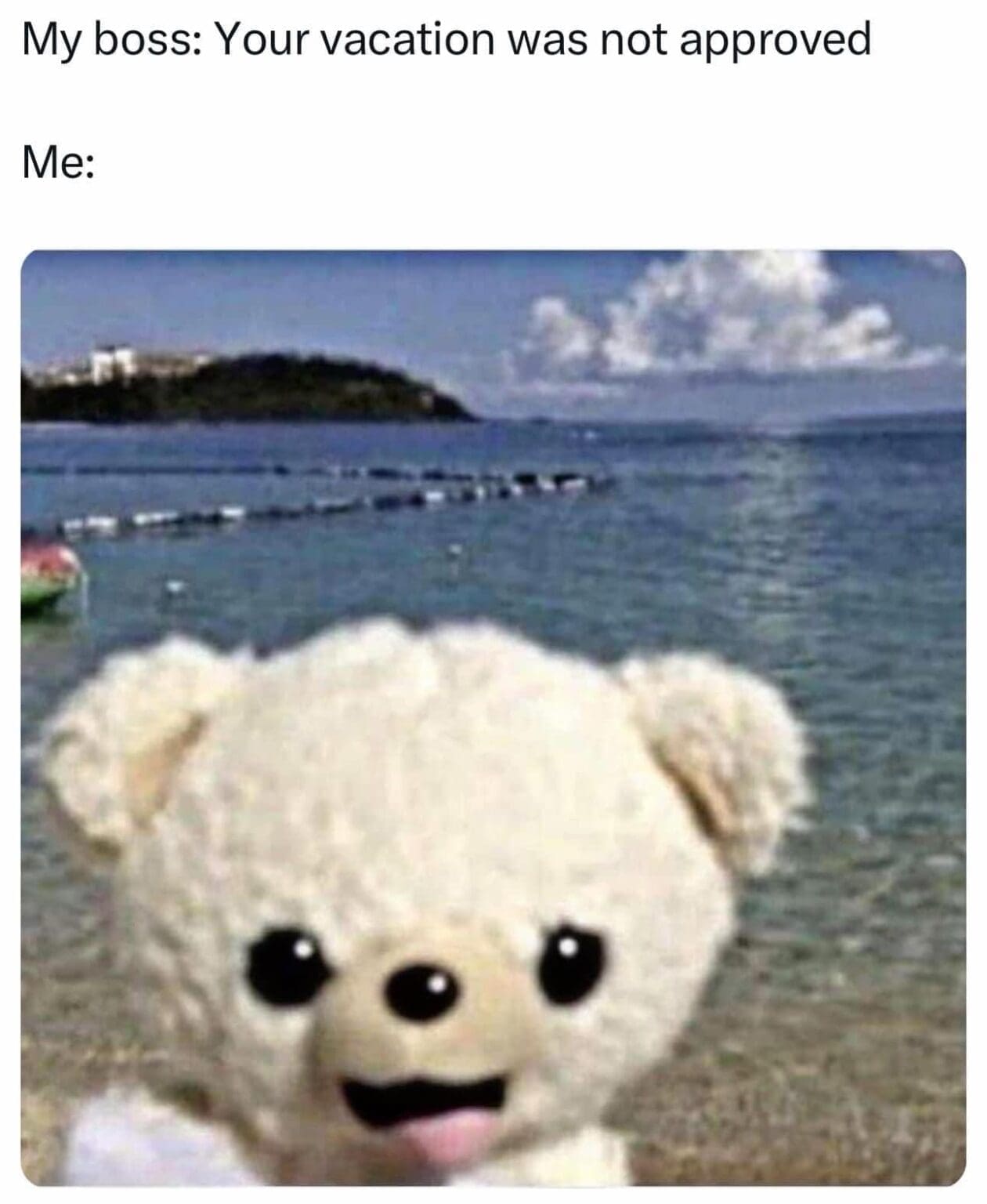 40 Bear-Themed Memes for Those Who Can’t Get Enough of These Furry Giants