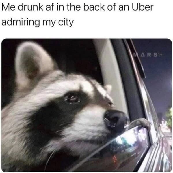 booze memes. Me drunk af in the back of an Uber admiring my city