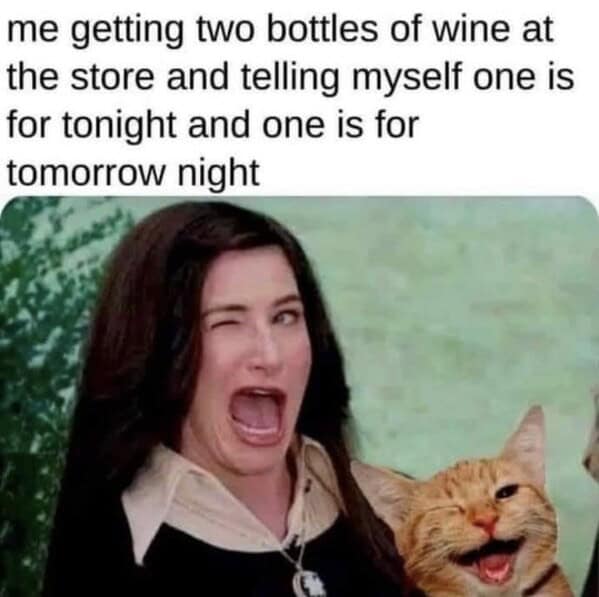 booze memes. me getting two bottles of wine at the store and telling myself one is for tonight and one is for tomorrow night