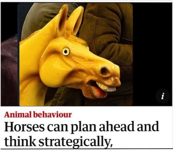 carousel horse memes, we live in time, we live in time horse meme, A24 movie memes, Florence Pugh memes, Andrew Garfield memes