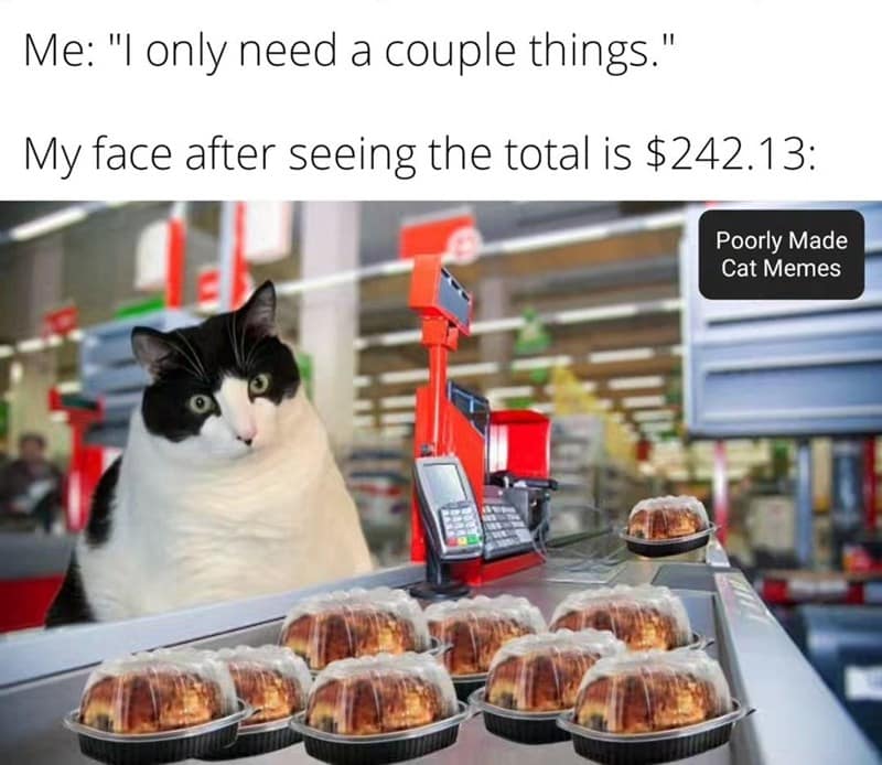 cat memes, motivational cats, feline memes, uplifting cat humor, cat motivation