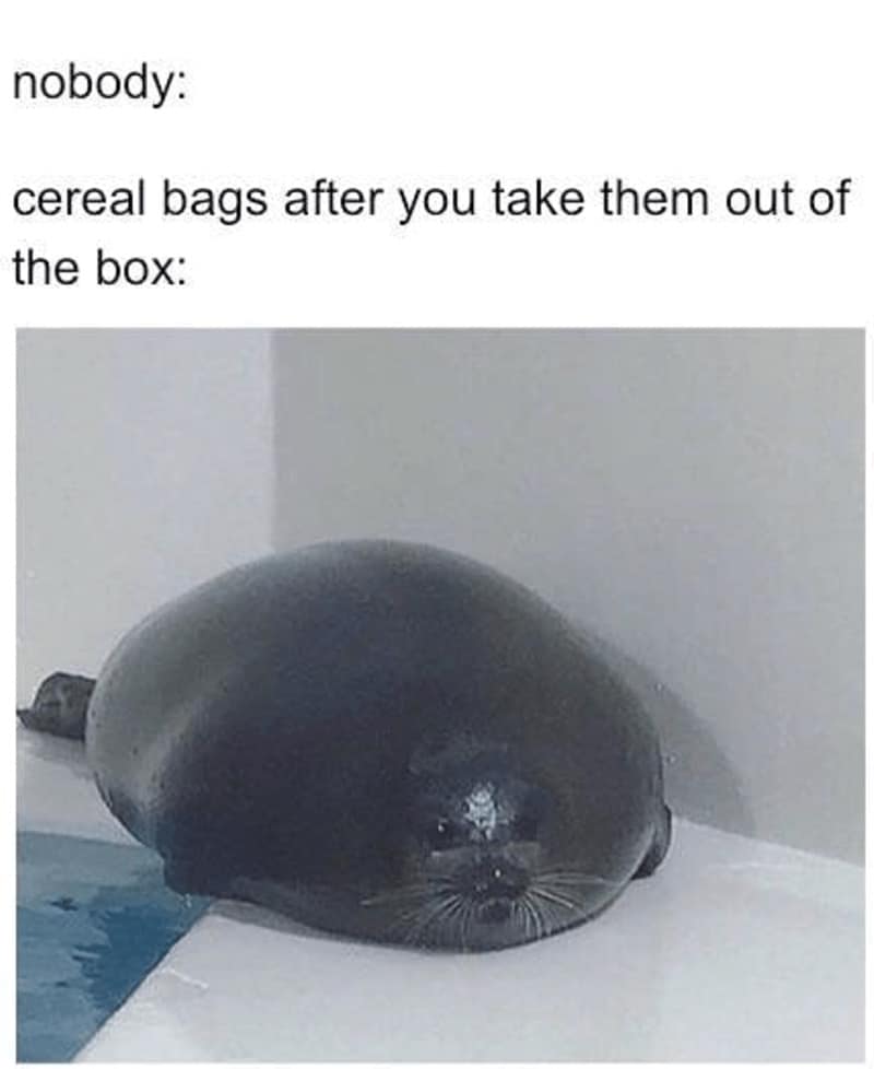cereal memes, Breakfast memes, Funny cereal jokes