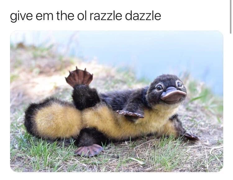 classic memes, vintage memes, viral tweets, trending tweets, internet famous tweets, Meme History, evolution of memes, internet meme culture, Nostalgia Trip, walk down memory lane, revisiting the past