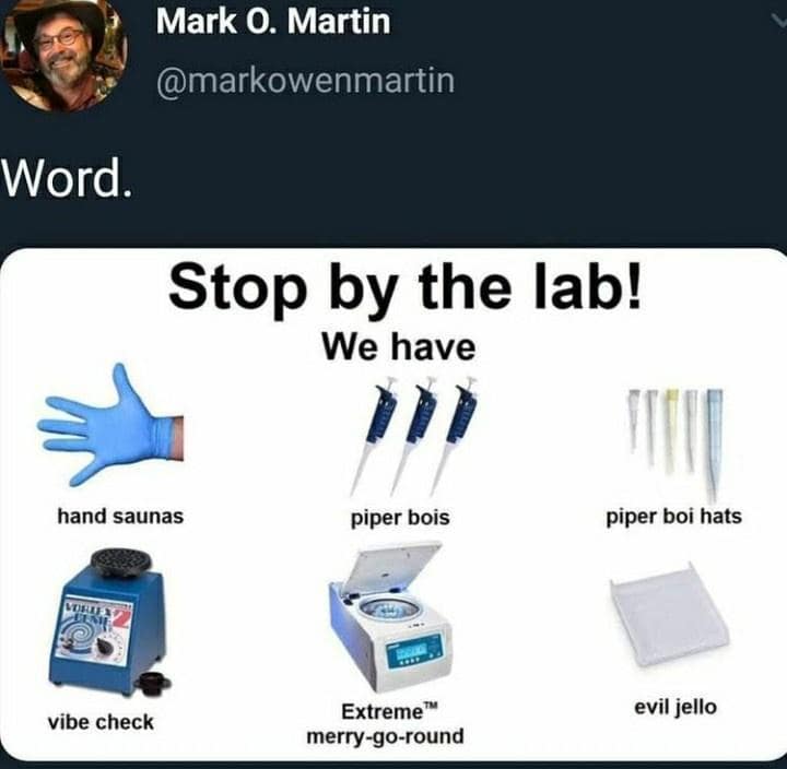 classic memes, vintage memes, viral tweets, best memes, old memes, Funny internet trends, Timeless humor