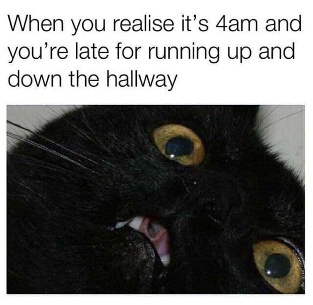 classic memes, vintage memes, viral tweets, best memes, old memes, Funny internet trends, Timeless humor