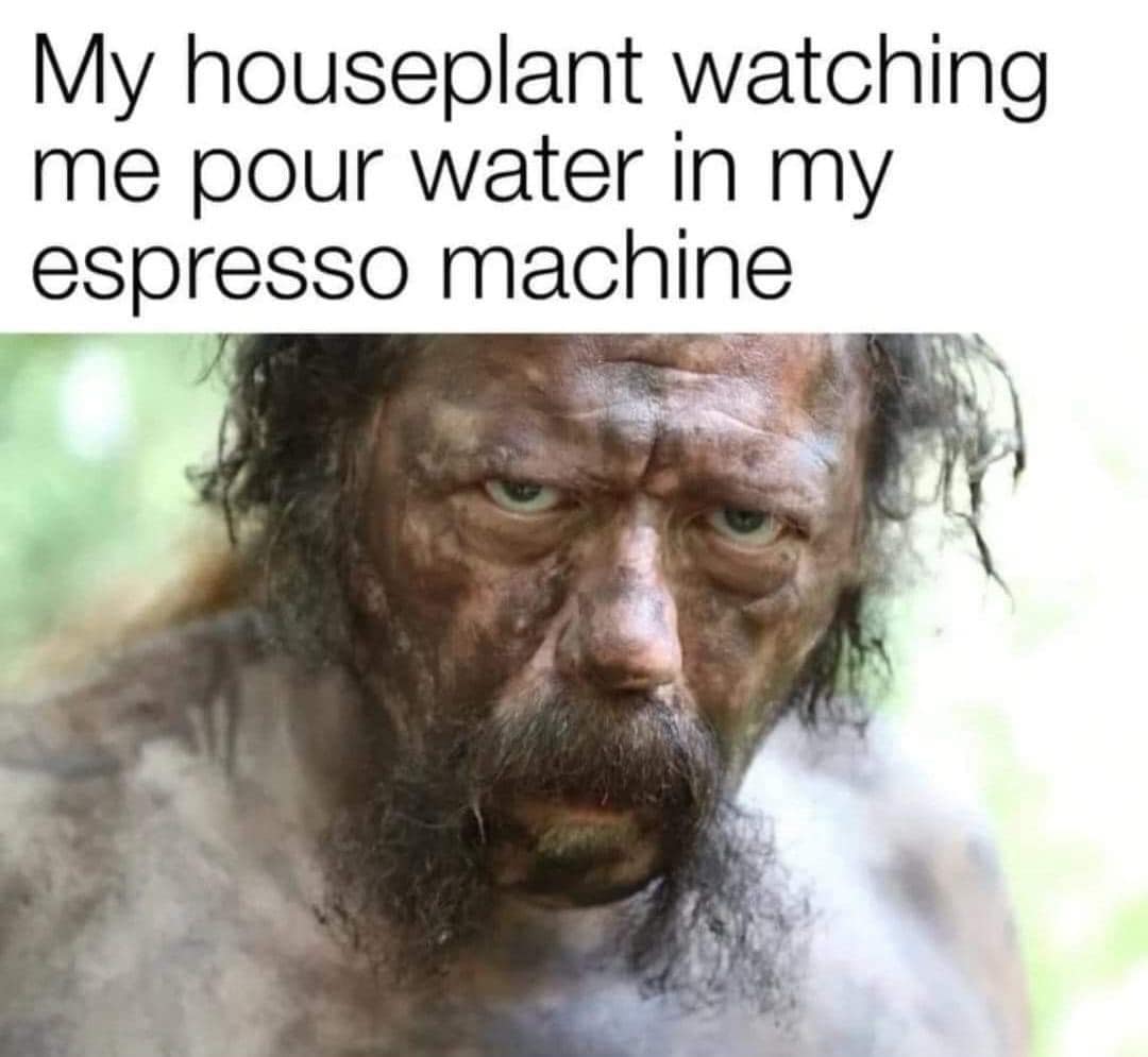 classic memes, vintage memes, viral tweets, trending tweets, internet famous tweets, Meme History, evolution of memes, internet meme culture, Nostalgia Trip, walk down memory lane, revisiting the past