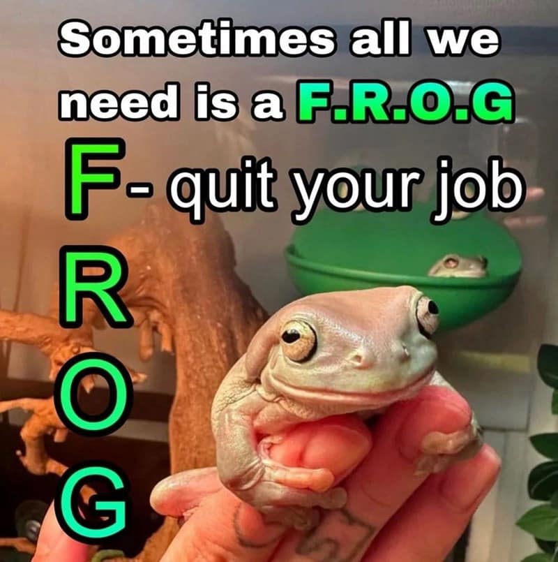 classic memes, vintage memes, viral tweets, trending tweets, internet famous tweets, Meme History, evolution of memes, internet meme culture, Nostalgia Trip, walk down memory lane, revisiting the past