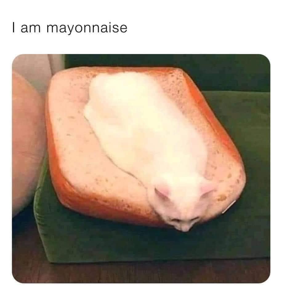 classic memes, vintage memes, viral tweets, viral internet culture, internet humor, meme nostalgia, timeless internet jokes, iconic viral tweets, digital comedy classics