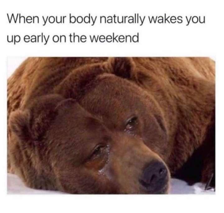 classic memes, vintage memes, viral tweets, Meme History, Viral Trends, Nostalgic Content, Iconic Memes, old memes