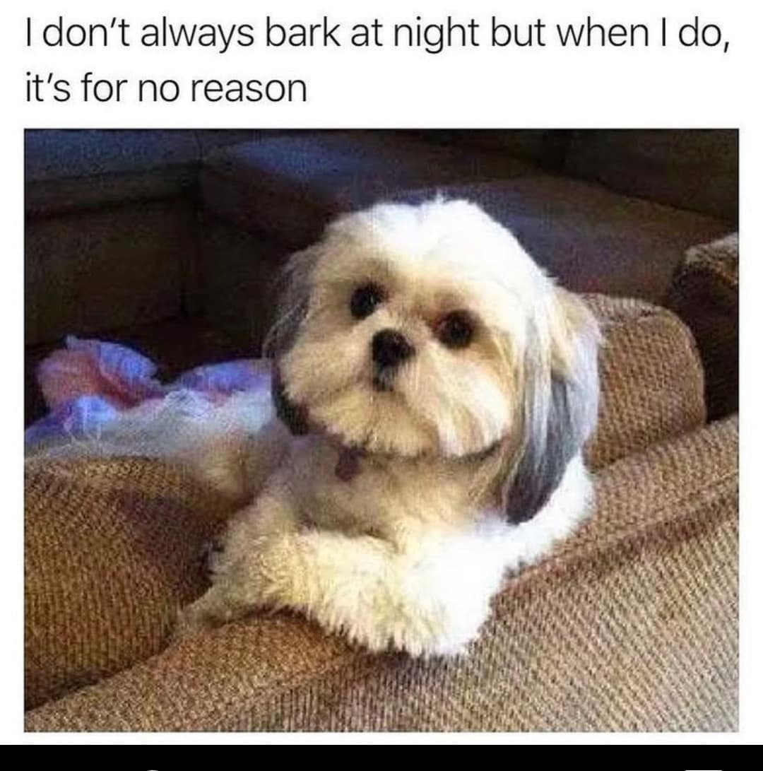 classic memes, vintage memes, viral tweets, internet humor, timeless jokes, old memes, iconic memes, legendary humor, eternal tweets
