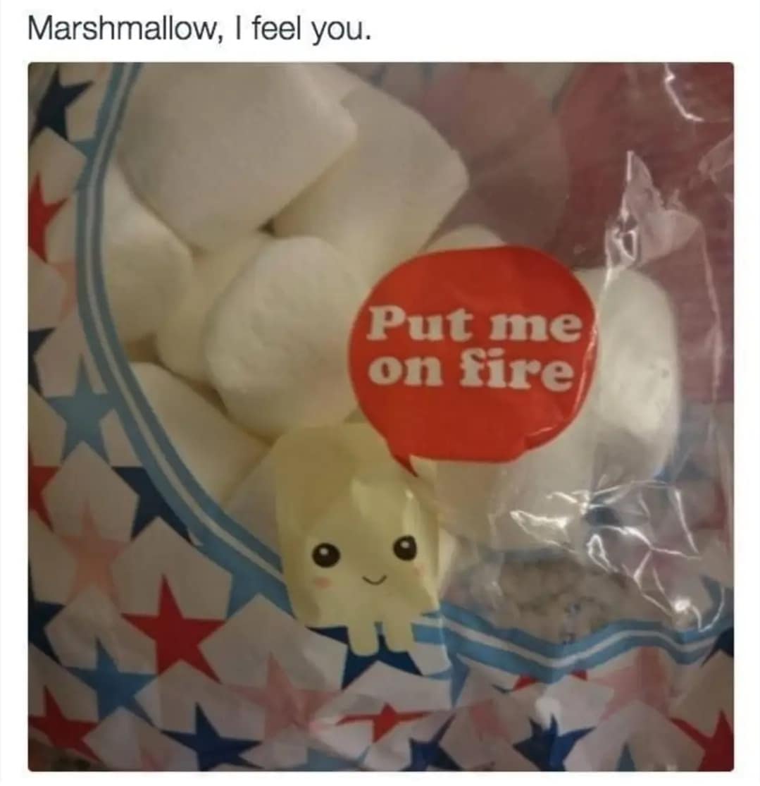 classic memes, vintage memes, viral tweets, best memes, old memes, Funny internet trends, Timeless humor