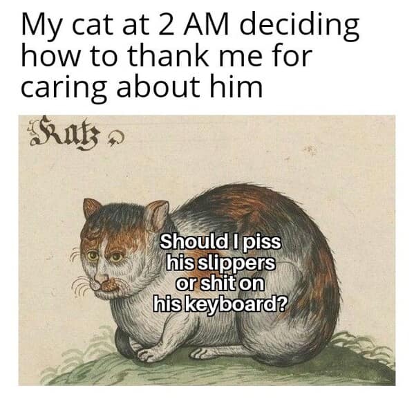 classical art memes, renaissance memes, Reimagined Masterpieces with Modern Humor, Funny Art History, Relatable Renaissance Art, Hilarious Museum Makeovers