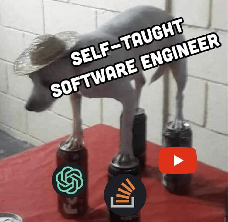SELF-TAUGHT SOFTWARE
