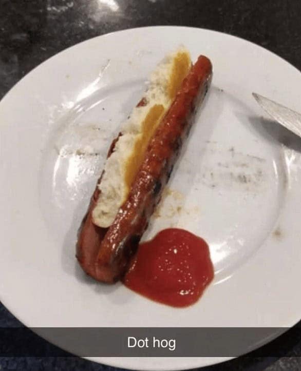 cooking memes. Dot hog