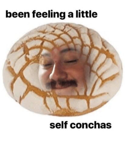 cooking memes. been feeling a little self conchas