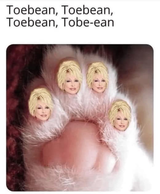 country music memes, Truck memes, Southern living memes