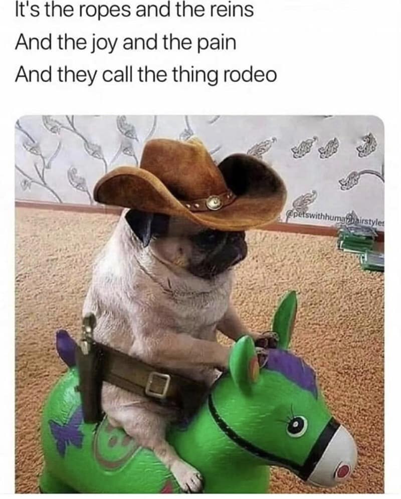 country music memes, Truck memes, Southern living memes