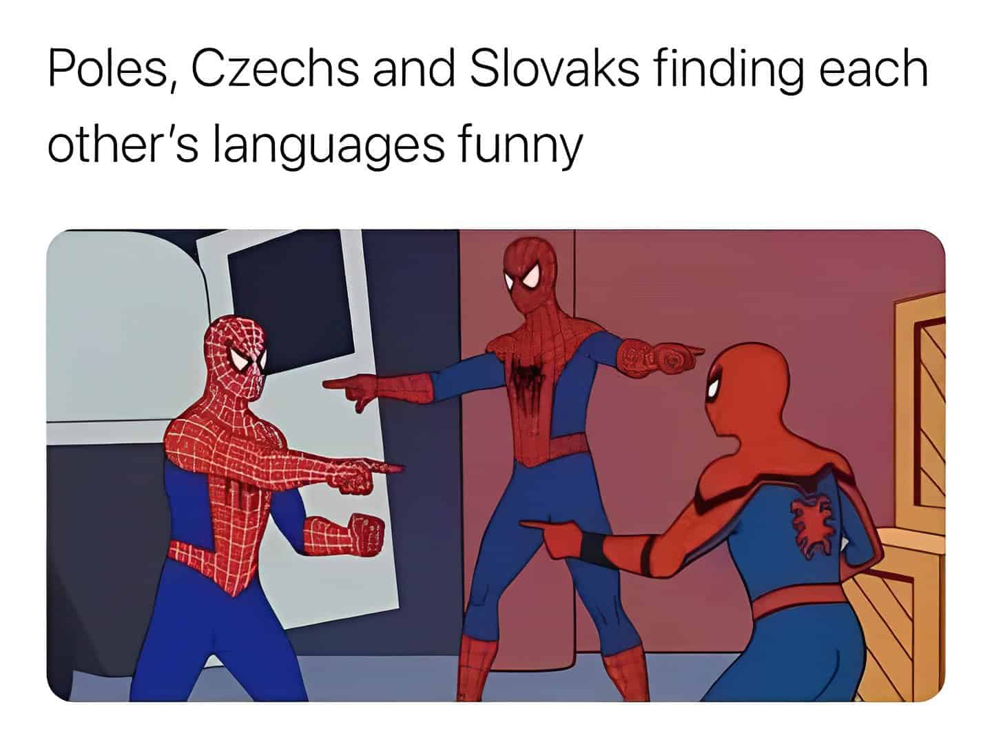 Poles, Czechs and Slovaks finding each other's languages funny