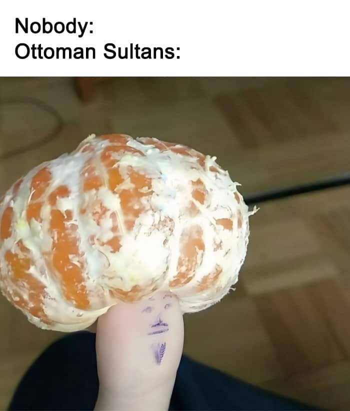 Nobody: Ottoman Sultans: