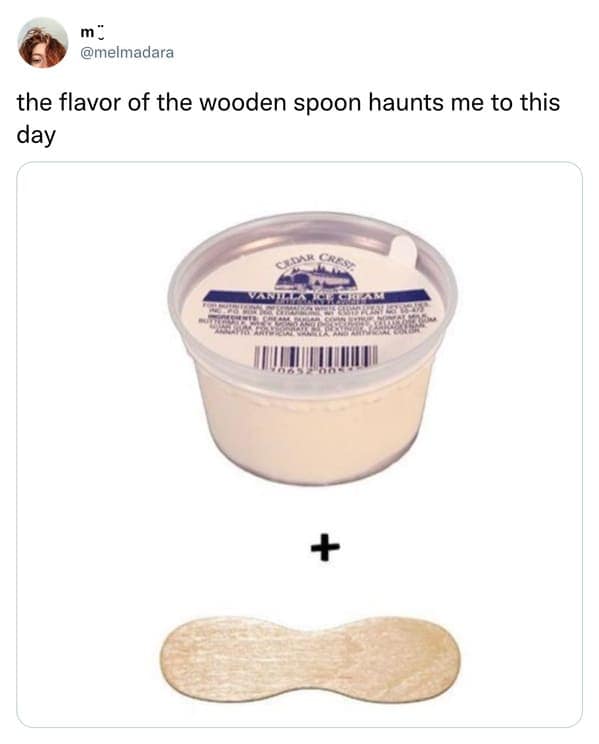 the flavor of the wooden spoon haunts me to this day