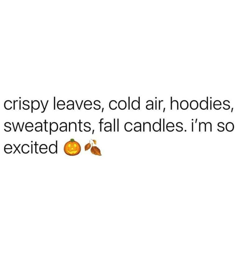 fall memes, autumn memes, end of summer memes