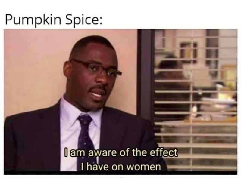 fall memes, autumn memes, end of summer memes