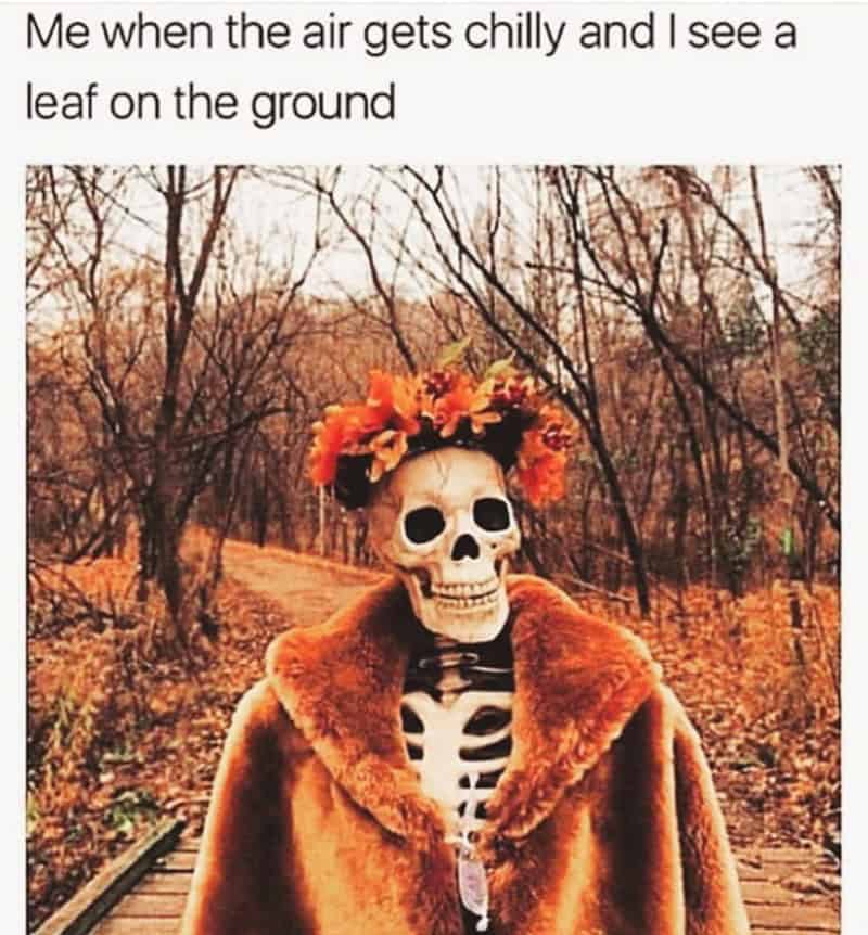 fall memes, autumn memes, end of summer memes