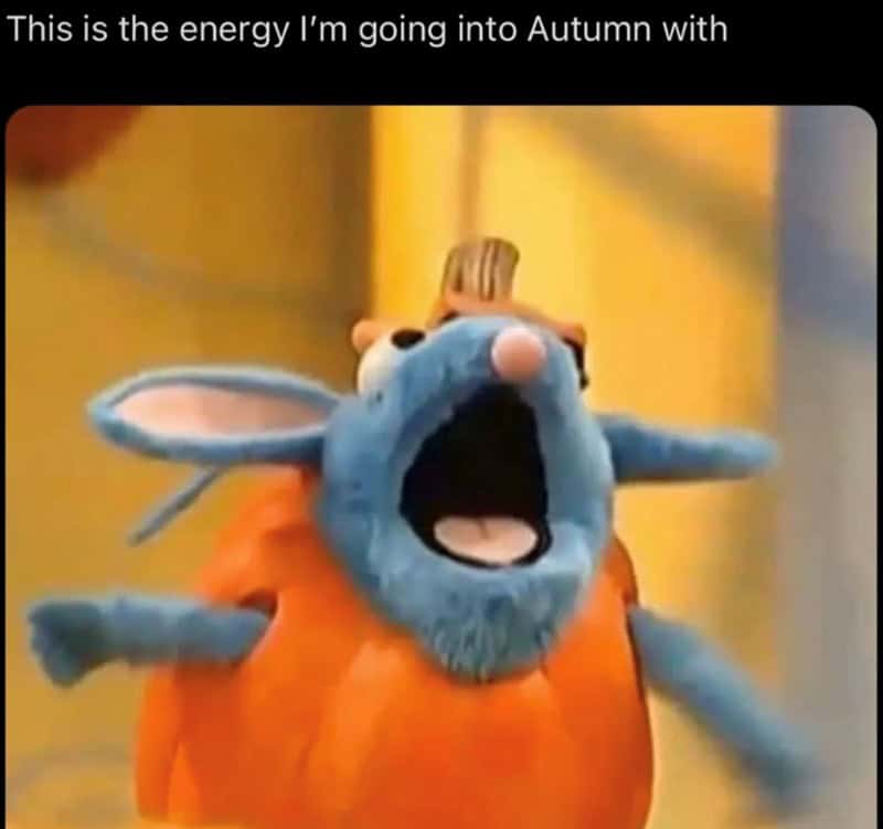fall memes, autumn memes, end of summer memes