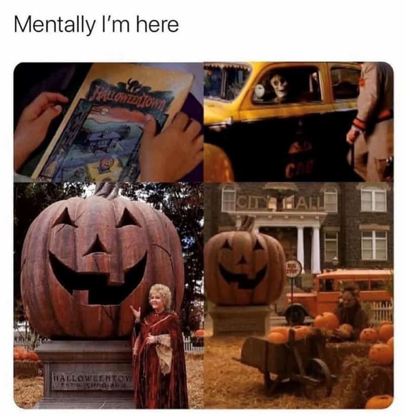 fall memes, autumn memes, end of summer memes