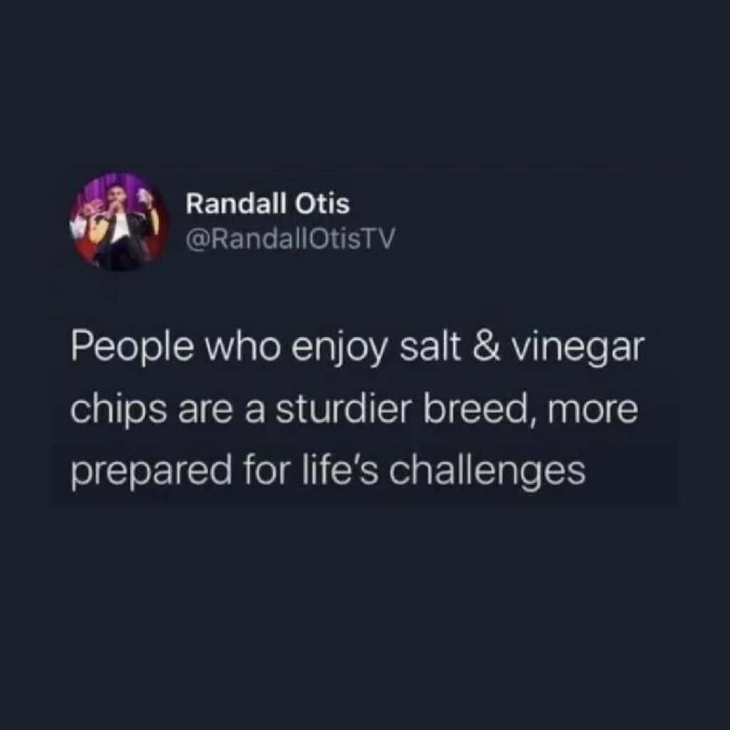 People who enjoy salt & vinegar chips are a sturdier breed, more prepared for life's challenges