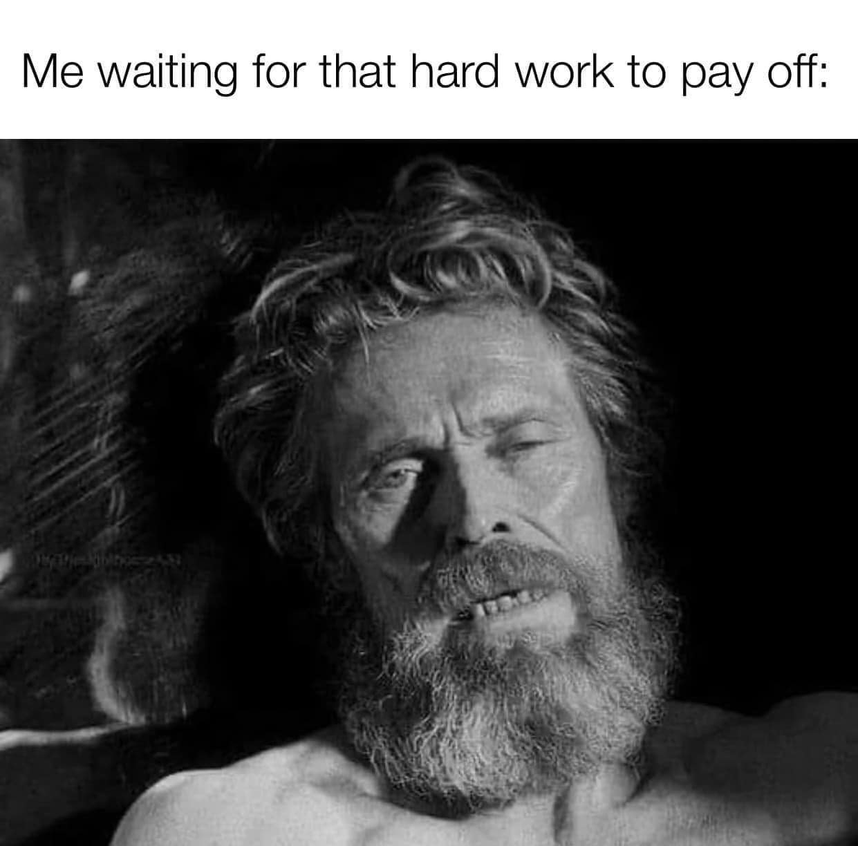 funny memes. Me waiting for that hard work to pay off: