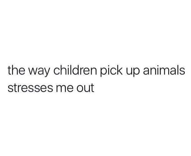 funny memes. the way children pick up animals stresses me out