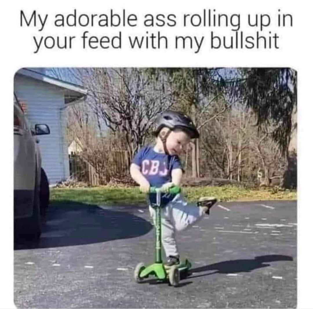 funny memes. My adorable ass rolling up in your feed with my bullshit