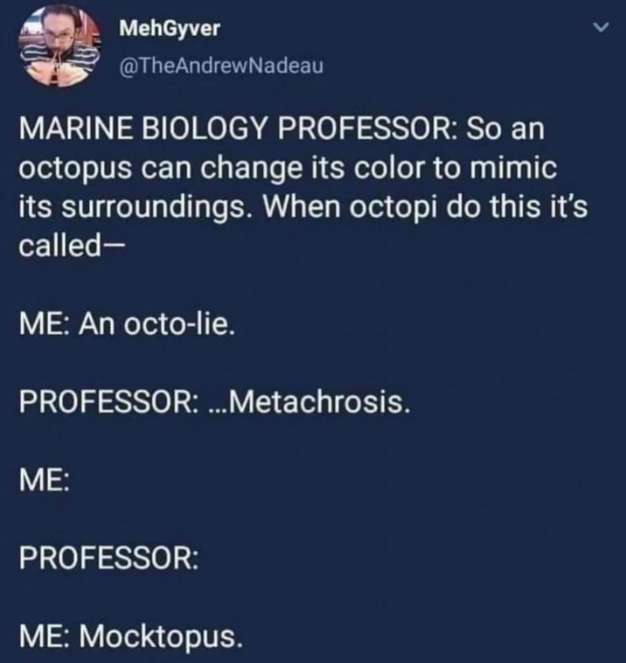MARINE BIOLOGY PROFESSOR: So an octopus can change its color to mimic its surroundings. When octopi do this it's called- ME: An octo-lie. PROFESSOR: ...Metachrosis. ME: PROFESSOR: ME: Mocktopus.