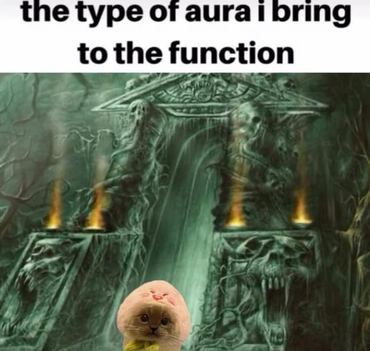 funny pics. the type of aura i bring to the function
