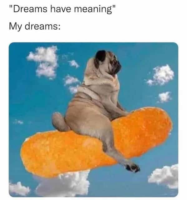 funny pics. "Dreams have meaning" My dreams: