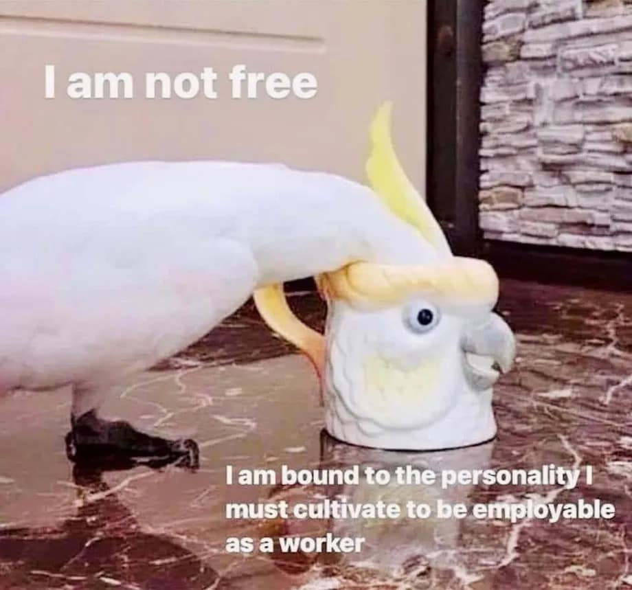 funny pics. I am not free I am bound to the personality I must cultivate to be employable as a worker
